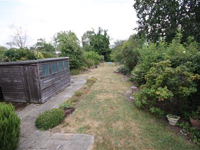 Picture 7